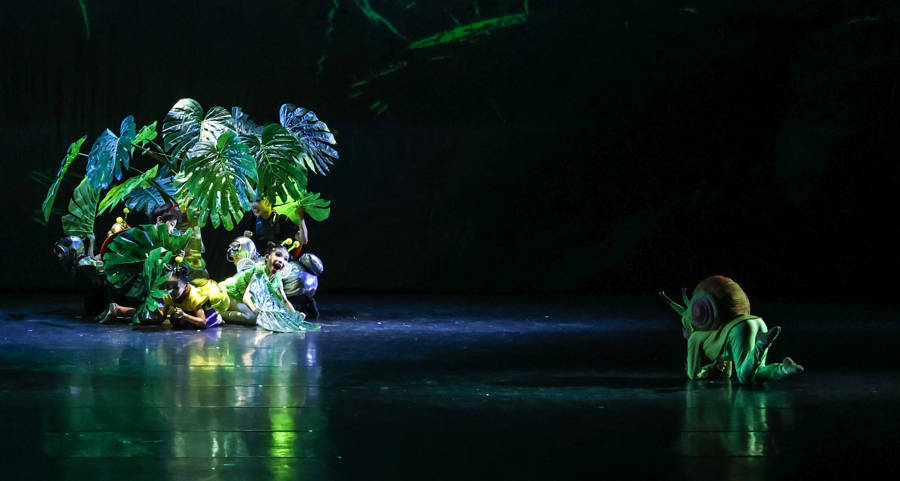 足尖演绎节气之美，原创少儿舞蹈诗集《廿四·舞悦时节》(图8)