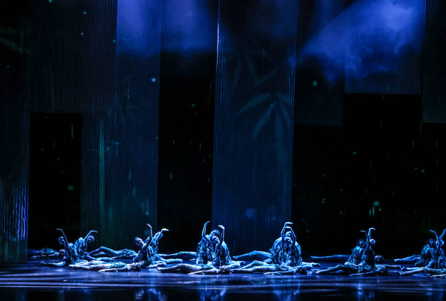 足尖演绎节气之美，原创少儿舞蹈诗集《廿四·舞悦时节》(图14)