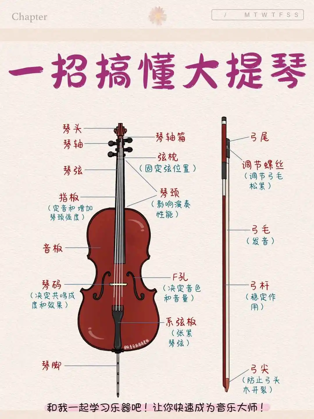 融媒广视教你如何学好大提琴(图1)