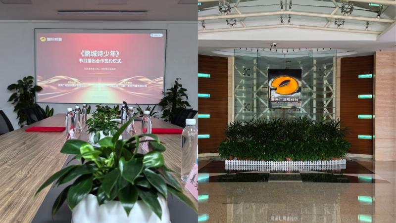 湾东少年正式成为湖南电视台国际频道 2026年度授权合作伙伴(图5)